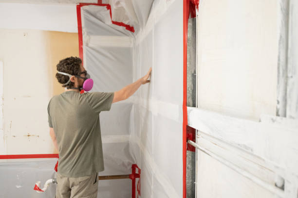 Best Water Damage & Mold Remediation  in Ware Shoals, SC