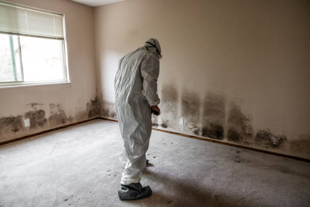 Best Industrial Mold Remediation  in Ware Shoals, SC